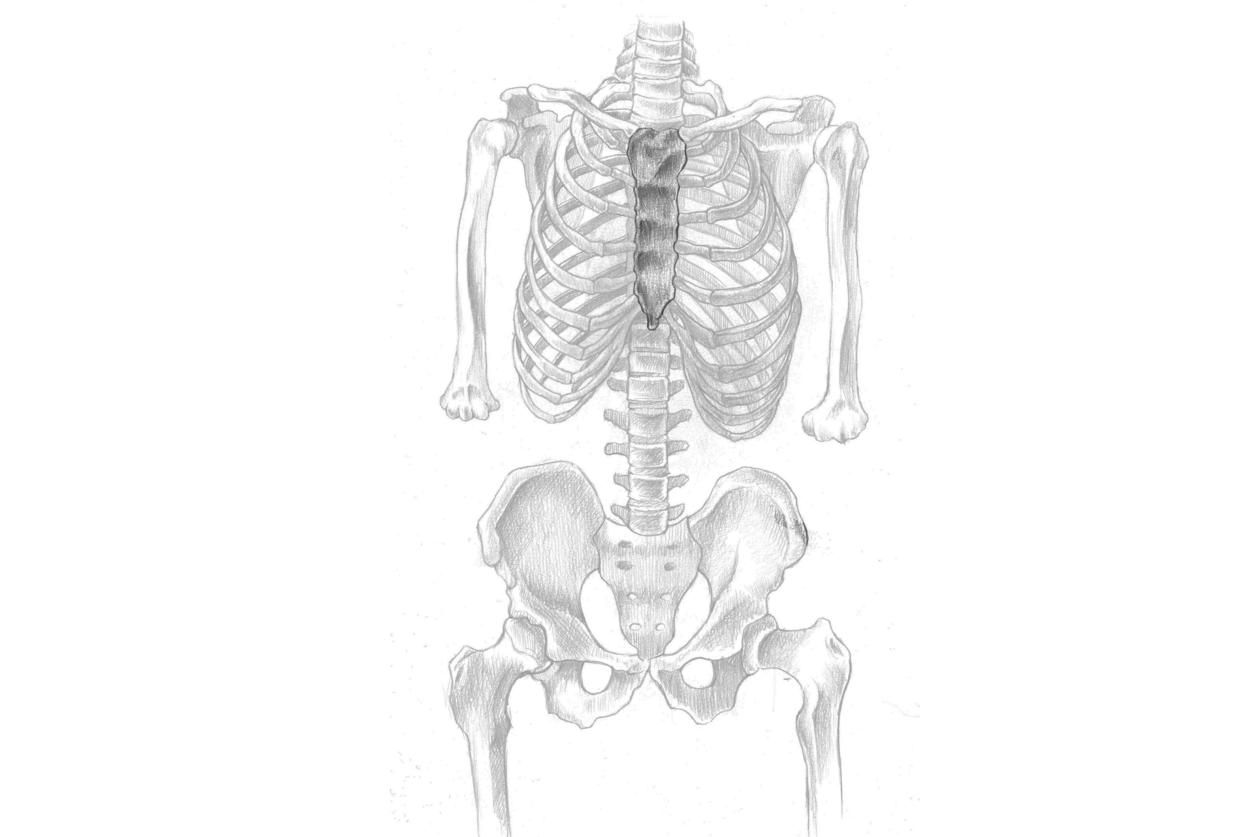 胸骨の位置
