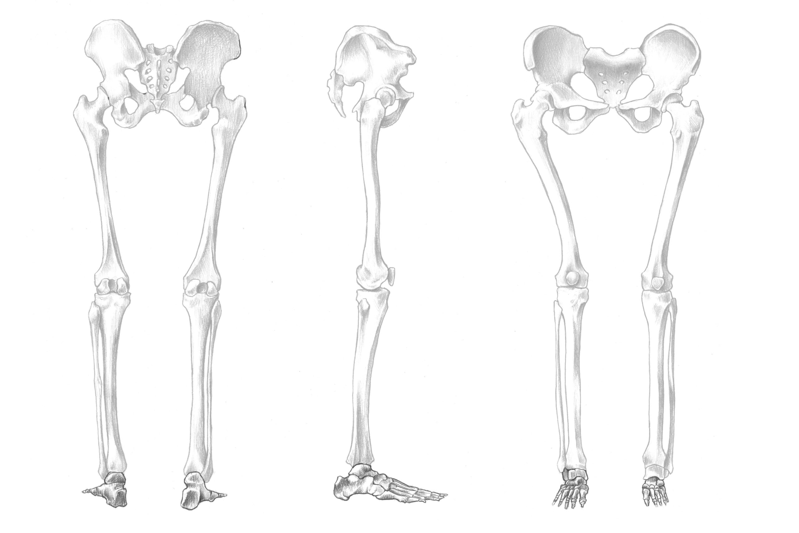 足の骨の位置