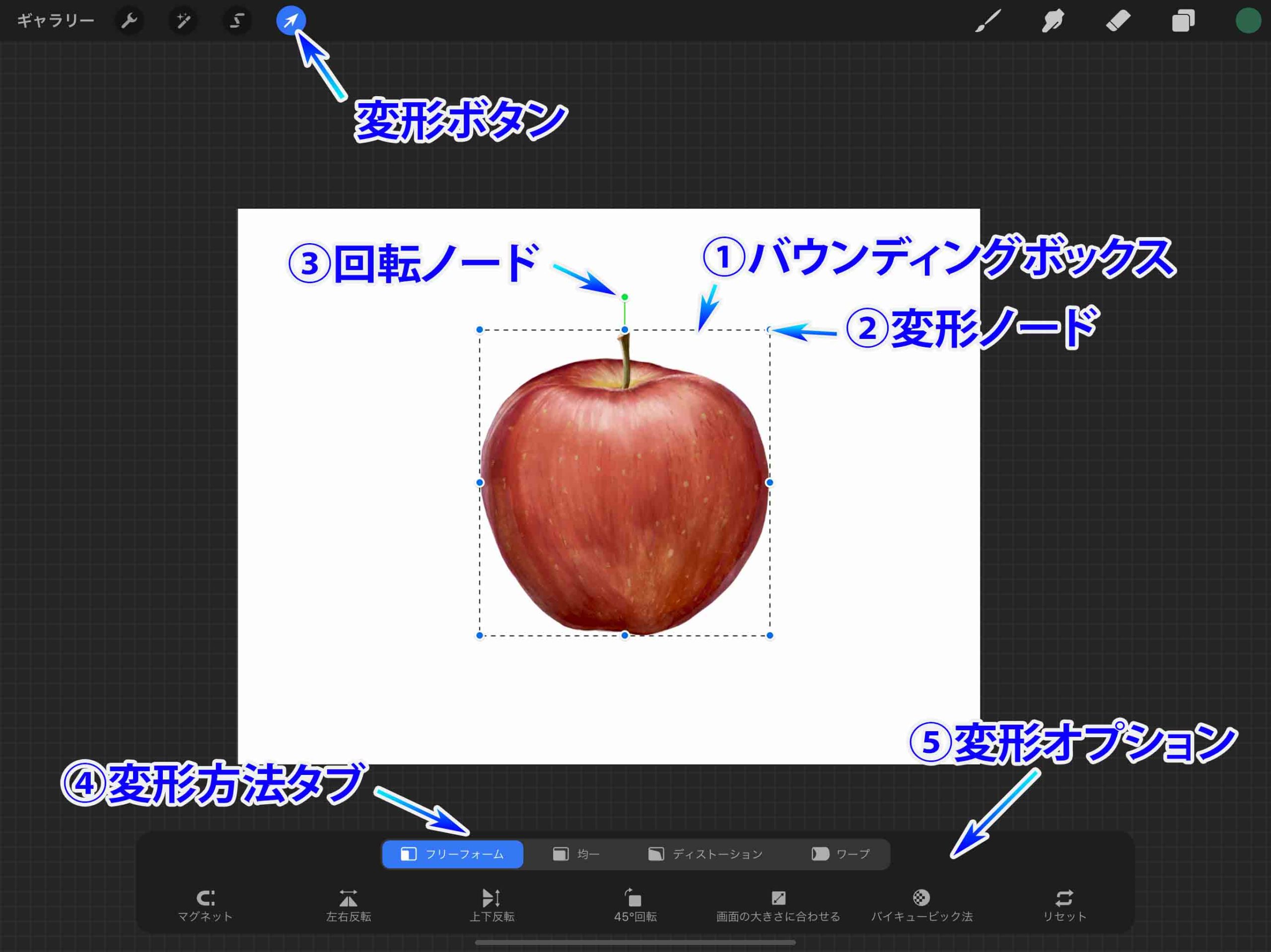 Procreate 変形ツールを使いこなせ 基本の使い方を解説 初心者向け ナツヲカケル 兼業クリエイター雑記