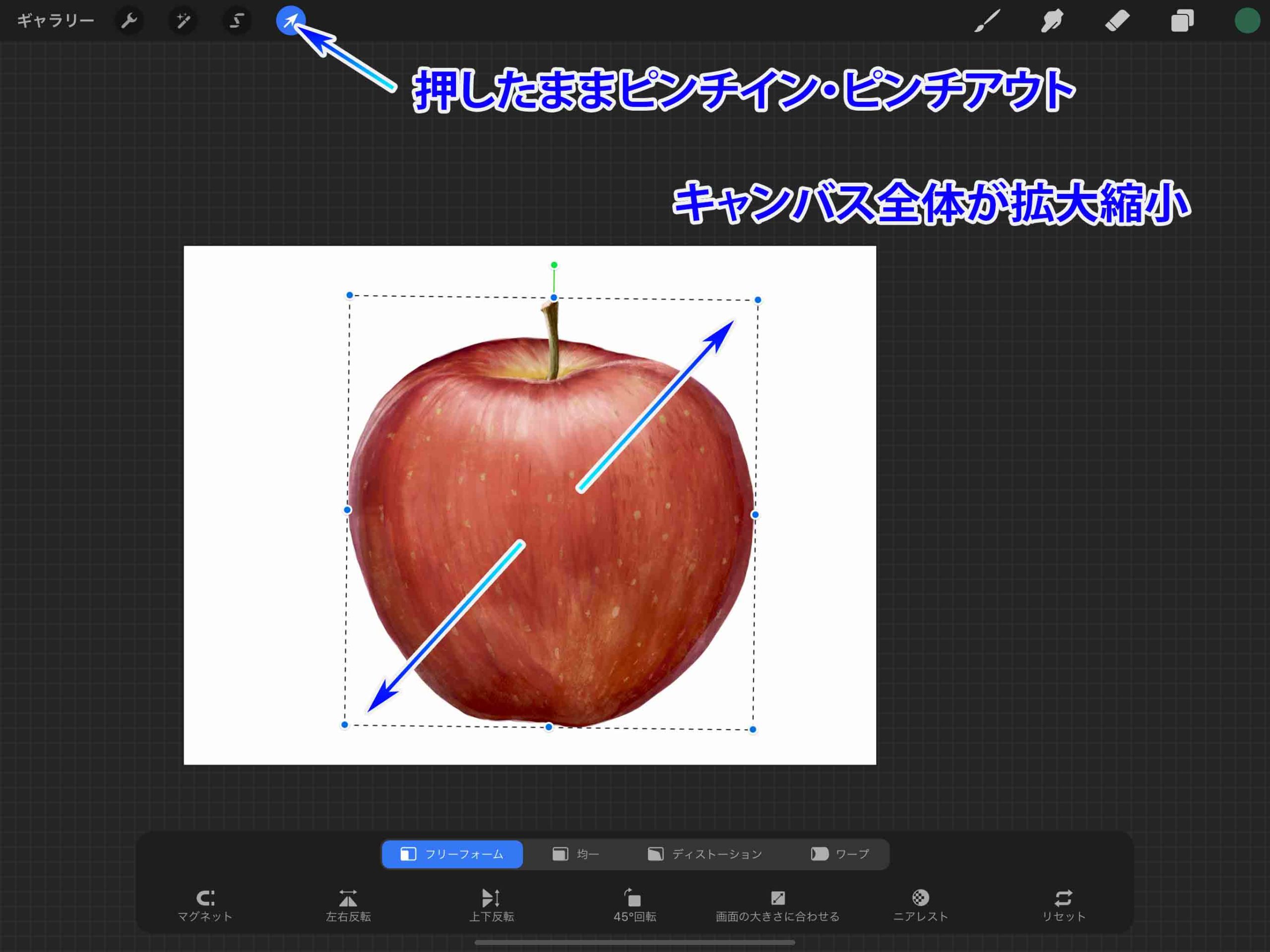 Procreate 変形ツールを使いこなせ 基本の使い方を解説 初心者向け ナツヲカケル 兼業クリエイター雑記