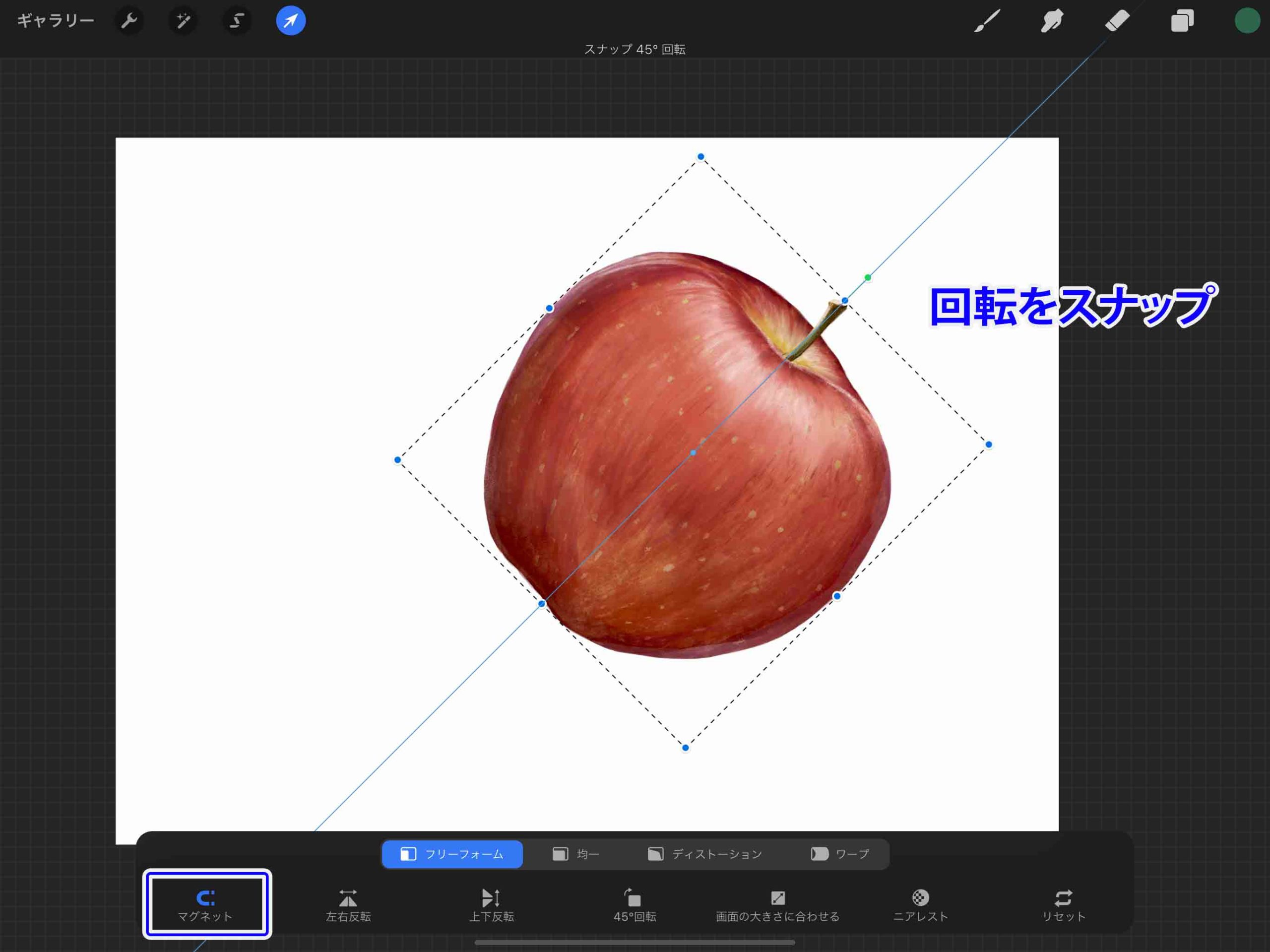 Procreate 変形ツールを使いこなせ 基本の使い方を解説 初心者向け ナツヲカケル 兼業クリエイター雑記