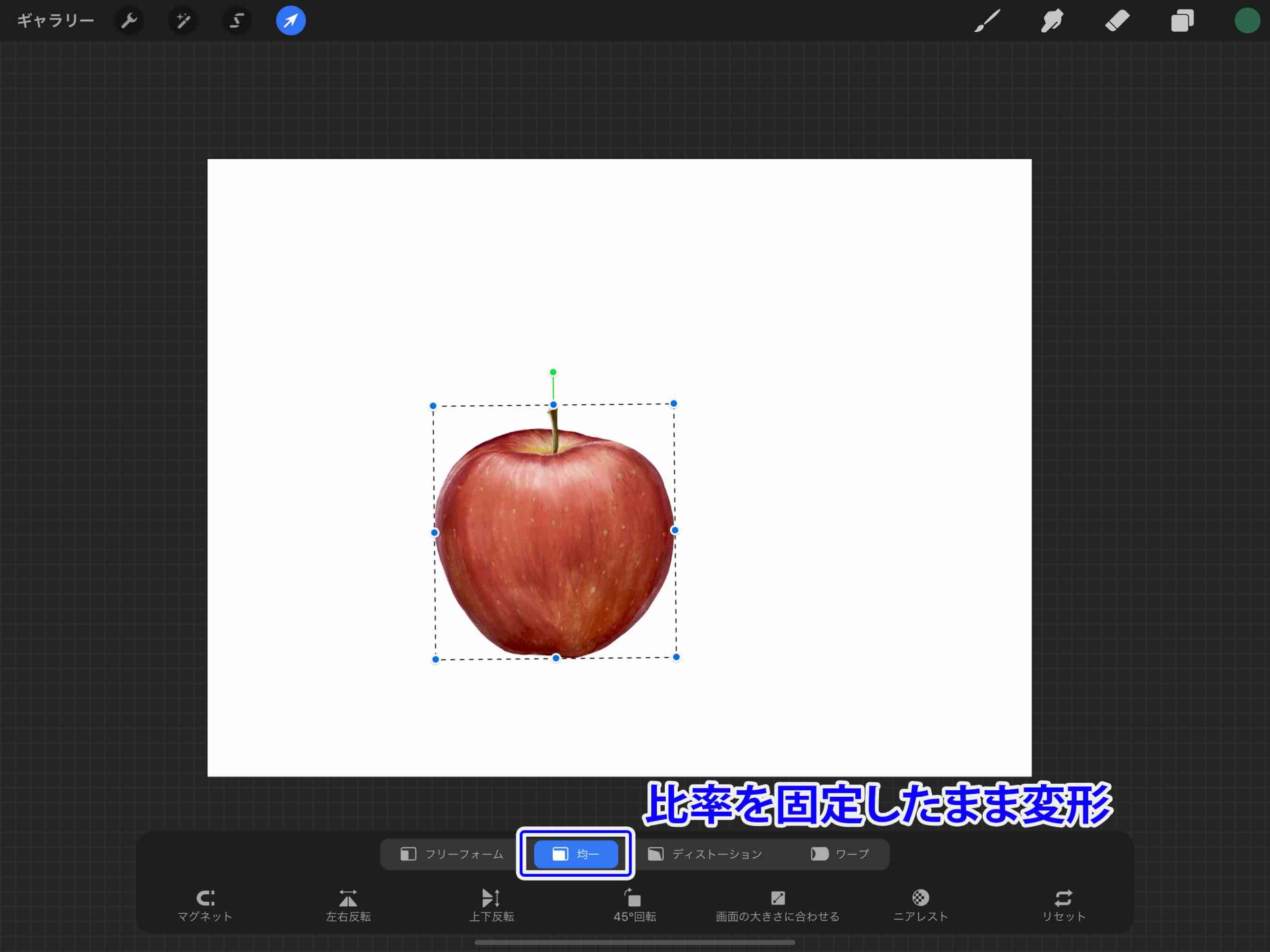 Procreate 変形ツールを使いこなせ 基本の使い方を解説 初心者向け ナツヲカケル 兼業クリエイター雑記