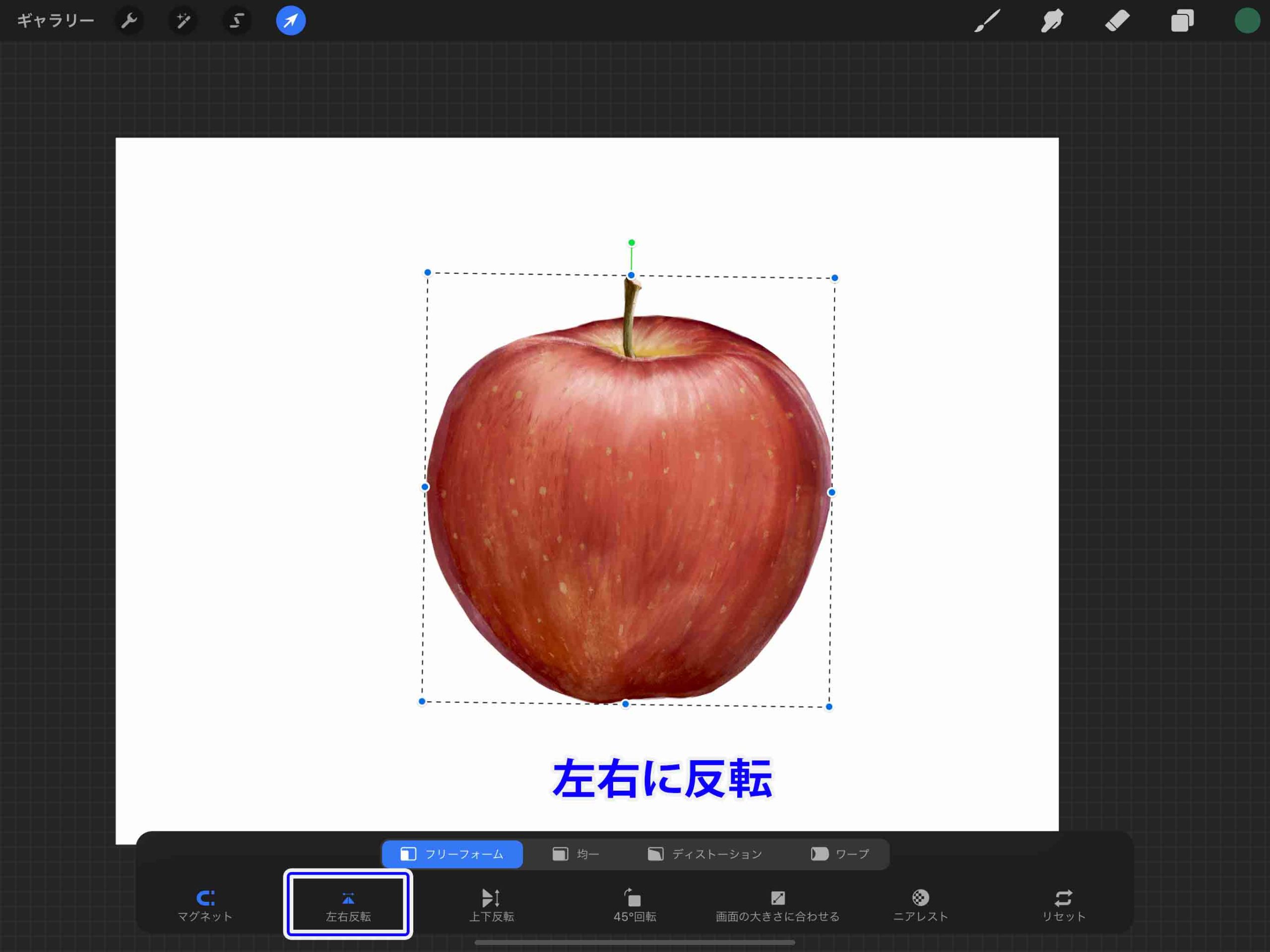 Procreate 変形ツールを使いこなせ 基本の使い方を解説 初心者向け ナツヲカケル 兼業クリエイター雑記