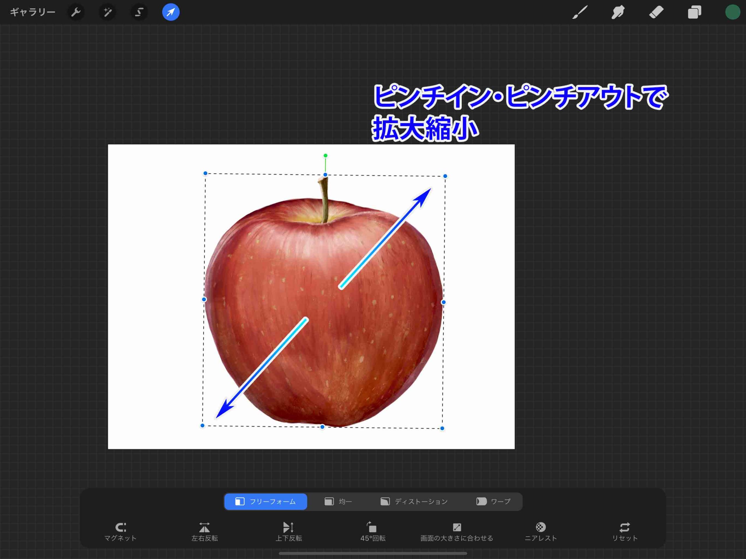 Procreate 変形ツールを使いこなせ 基本の使い方を解説 初心者向け ナツヲカケル 兼業クリエイター雑記