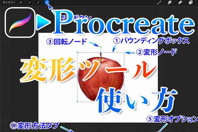 Procreate 変形ツールを使いこなせ 基本の使い方を解説 初心者向け ナツヲカケル 兼業クリエイター雑記