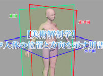 美術解剖学人体の位置と方向を示す用語アイキャッチ